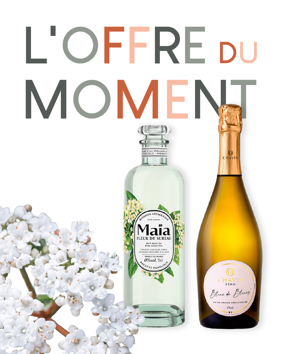 6 juin offre hugo_Plan de travail 1