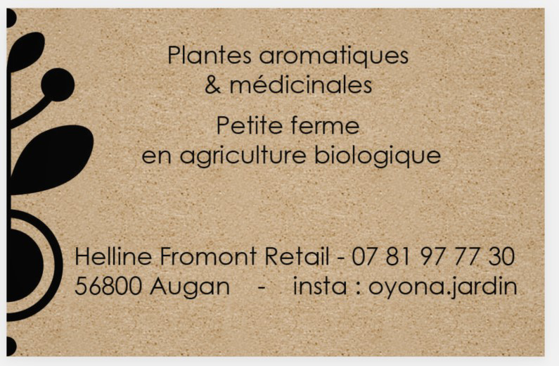 Verso de la carte de visite Oyona sur fond kraft avec informations de contact et illustration végétale issue du logo
