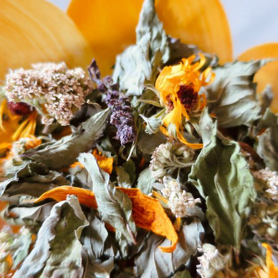 Gros plan sur un mélange de tisane Oyona, composé de plantes et fleurs séchées aromatiques